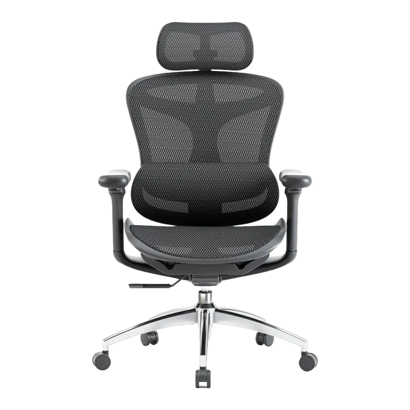 SIHOO Doro C300 ergonomic mesh office chair